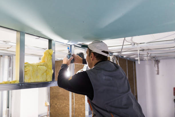 Best Home Insulation Services  in Manhattan, NY