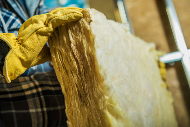 Best Cellulose Insulation  in Manhattan, NY