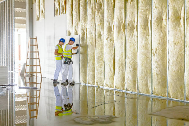 Best Insulation Inspection Services  in Manhattan, NY